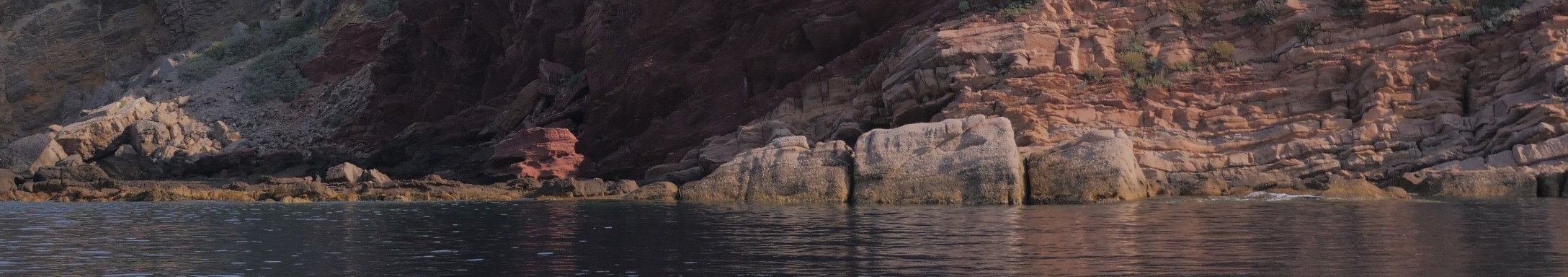 banner image