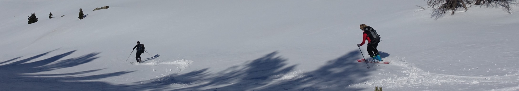 banner image