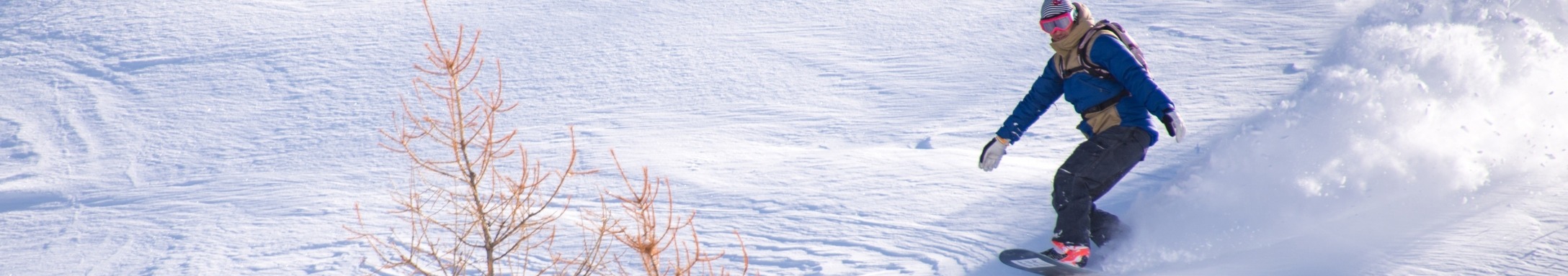 banner image